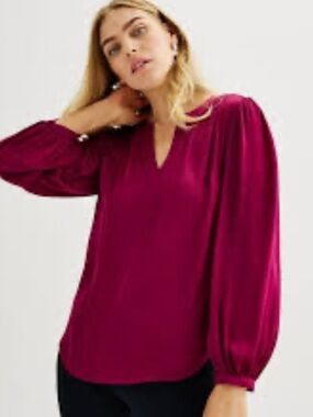 Max Studio 💯 Silk Plum V-Neck Long Sleeve Blouse size Large